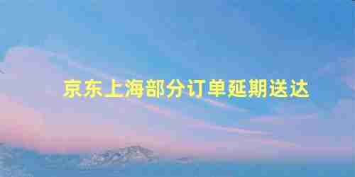 京东上海部分订单延期送达怎么办(京东上海部分订单延期送达什么意思)